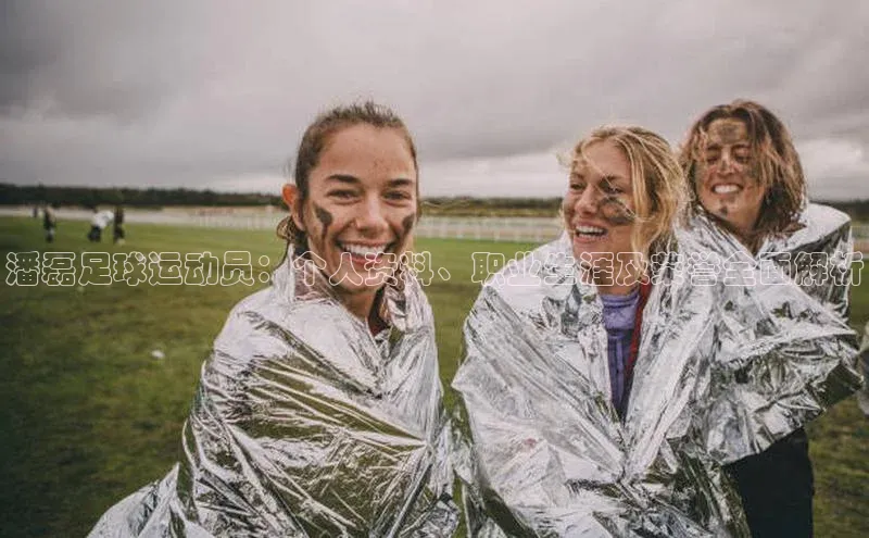 华体会体育最新首页登录度小满支付潘磊足球运动员：个人资料、职业生涯及荣誉全面解析