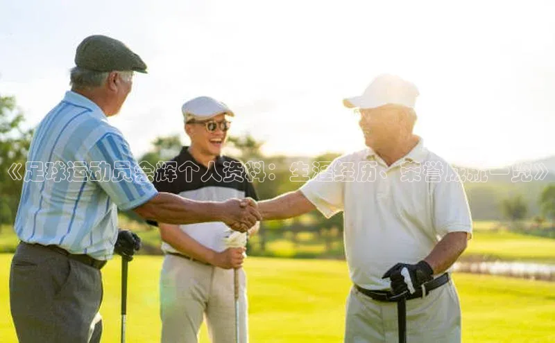 华体育app在线登录入口光魔科技《足球运动员佘辉个人资料：生涯经历、荣誉成就一览》