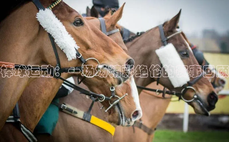 棒球运动：一场场精彩绝伦的赛事回顾