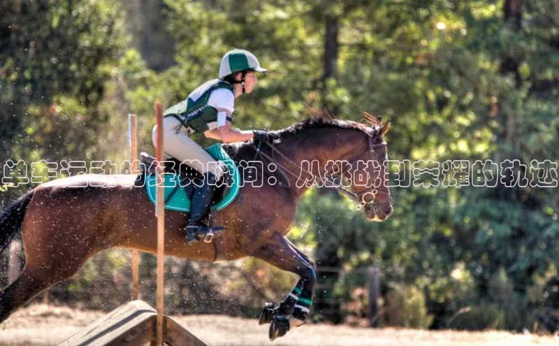 单车运动的经典瞬间：从挑战到荣耀的轨迹
