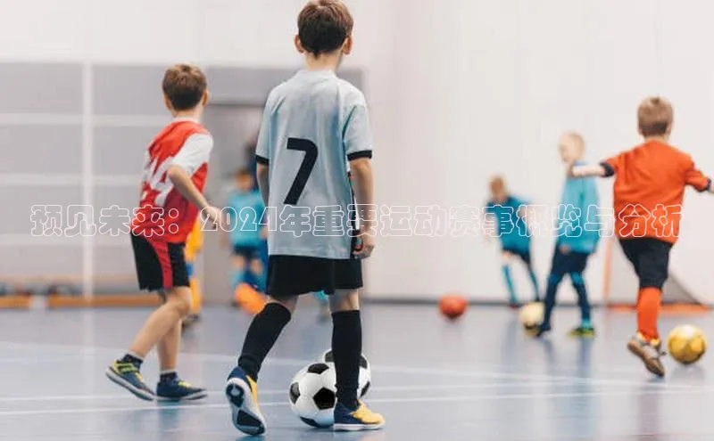 预见未来：2024年重要运动赛事概览与分析