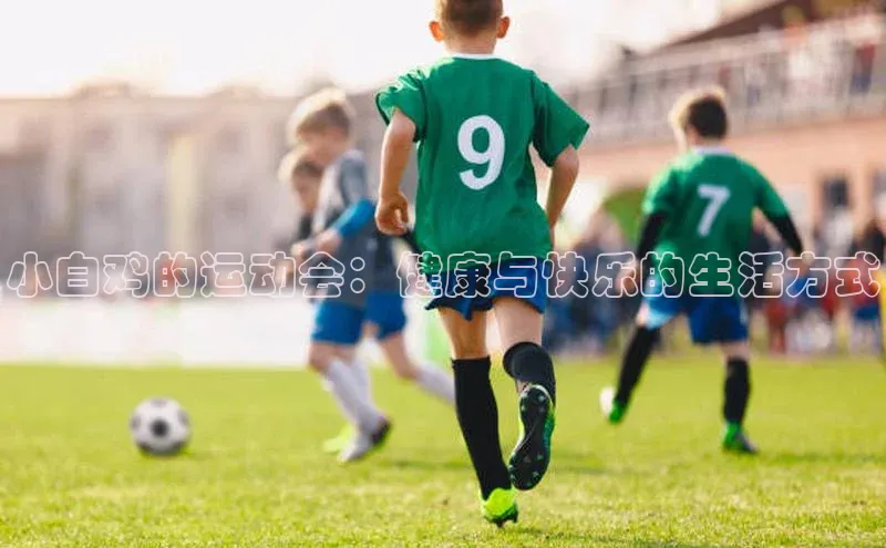 小白鸡的运动会：健康与快乐的生活方式