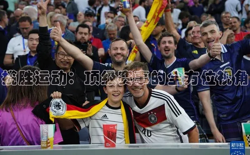 揽胜运动：顶级赛事的全方位视角