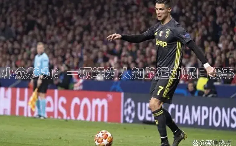 小众魅力：一项鲜为人知的运动项目赛事