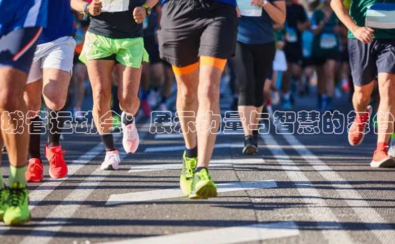 城管运动会：展示力量与智慧的舞台