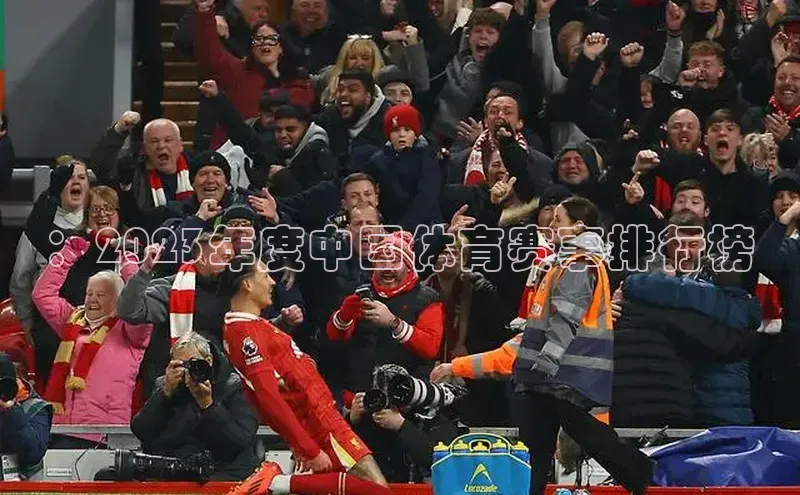 ：2023年度中国体育赛事排行榜