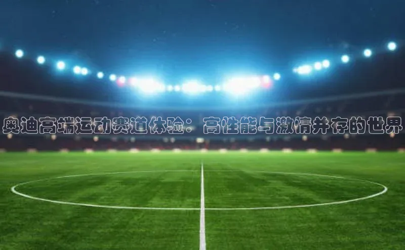 奥迪高端运动赛道体验：高性能与激情并存的世界