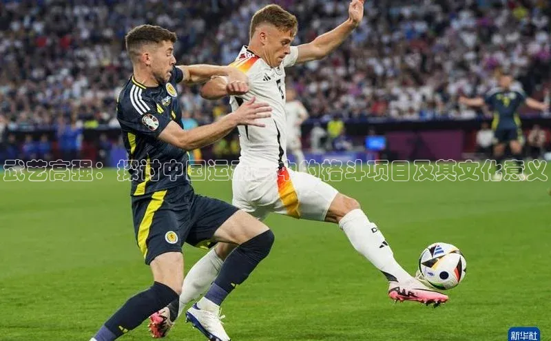 武艺高强：探讨中国运动会中的格斗项目及其文化意义