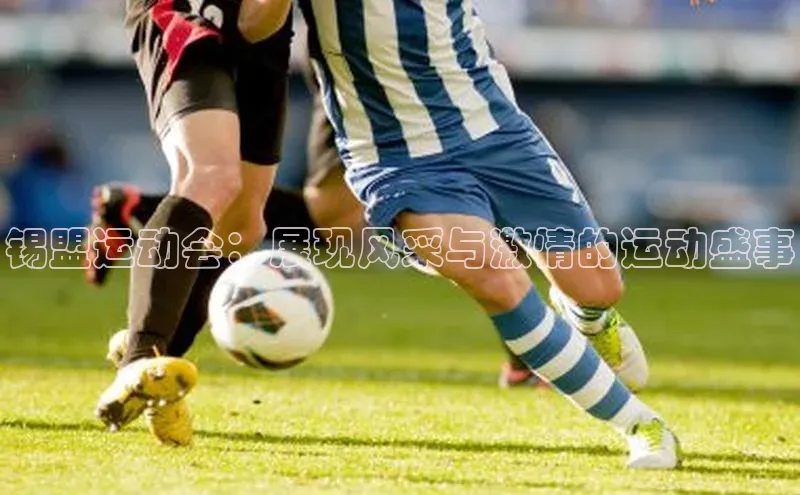锡盟运动会：展现风采与激情的运动盛事