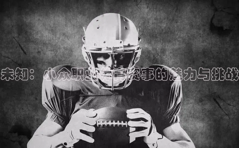 未知：小众职业体育赛事的魅力与挑战