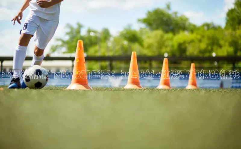 华体育手机app下载