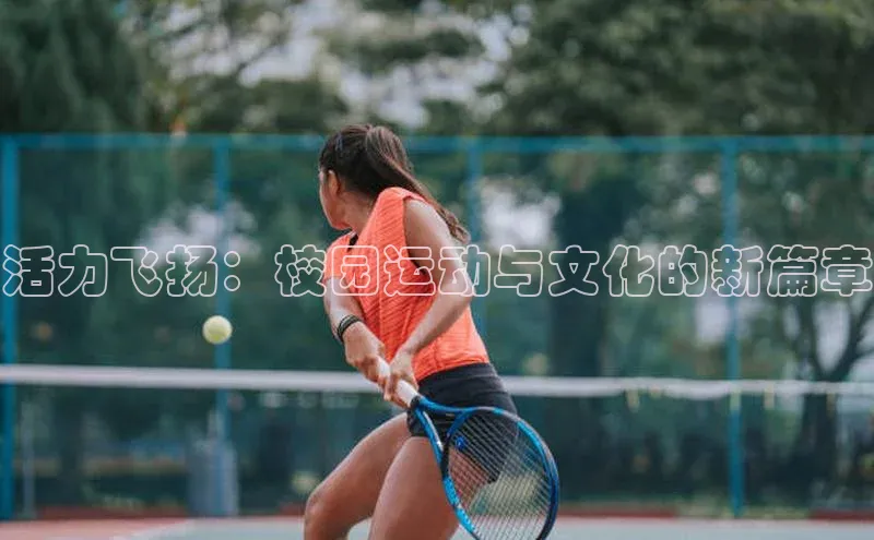 华体育手机app下载