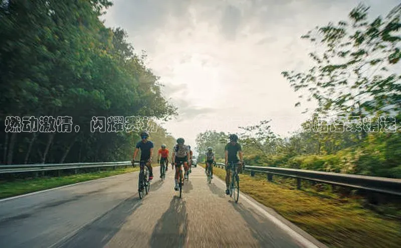 华体会体育手机版