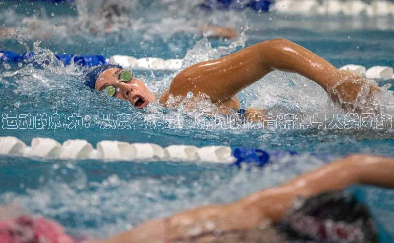 华体会体育首页登录