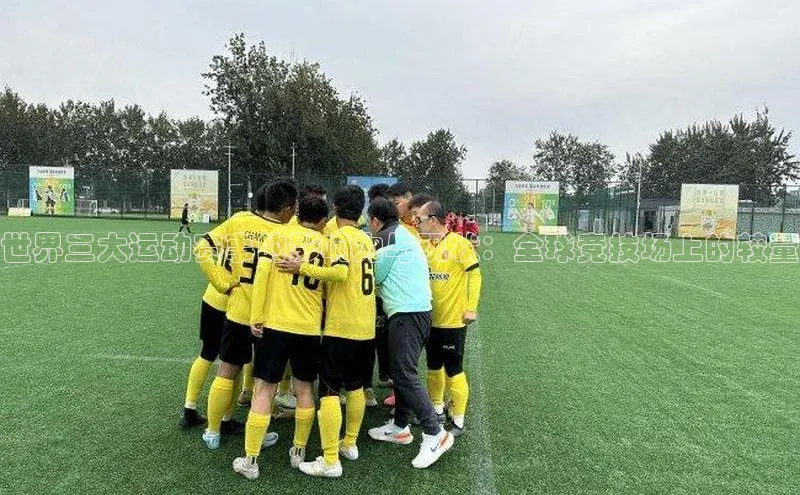 华体会hth最新登录地址