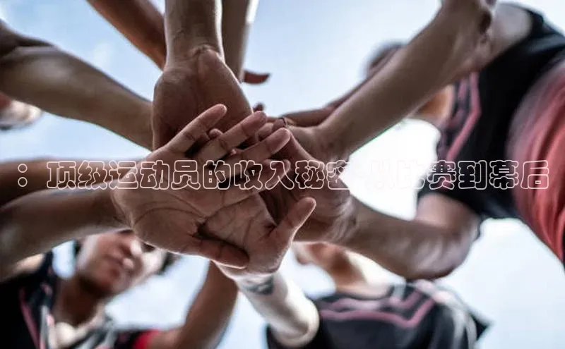 华体育app官网登录